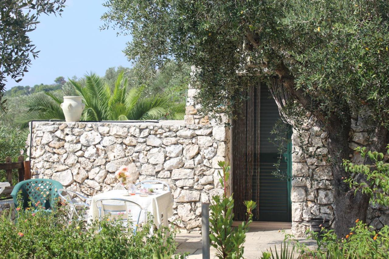 Amoru Bed & Breakfast Castro  Esterno foto